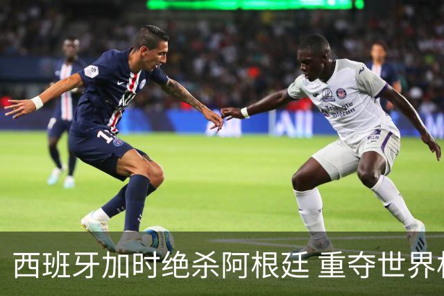 西班牙加时绝杀阿根廷 重夺世界杯冠军